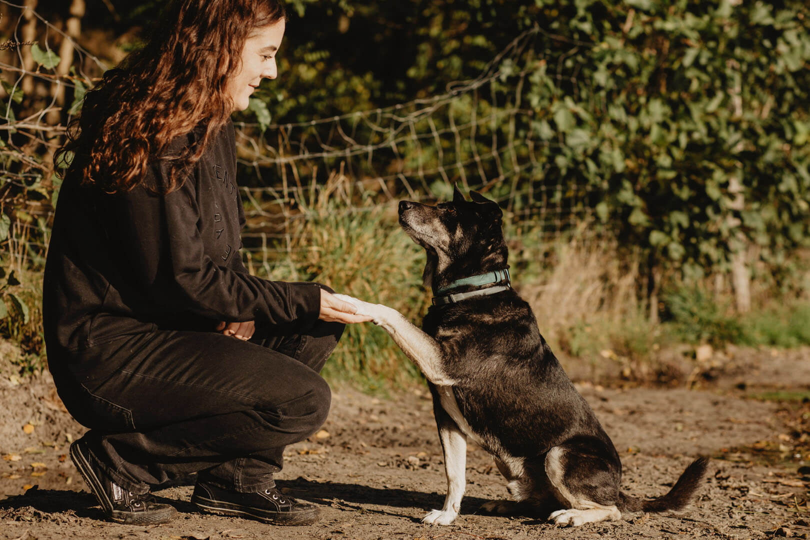 Quelle: Alice Epp "The Pet Project"
